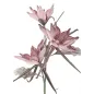 EPIPHY HUM X3 ROSA 35X98 cm MIN 8